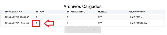 ESTADO CARGA MASIVA FEL